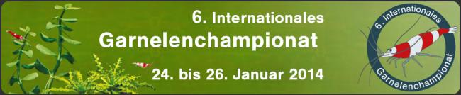 Internationales garnelenchampionat 2014